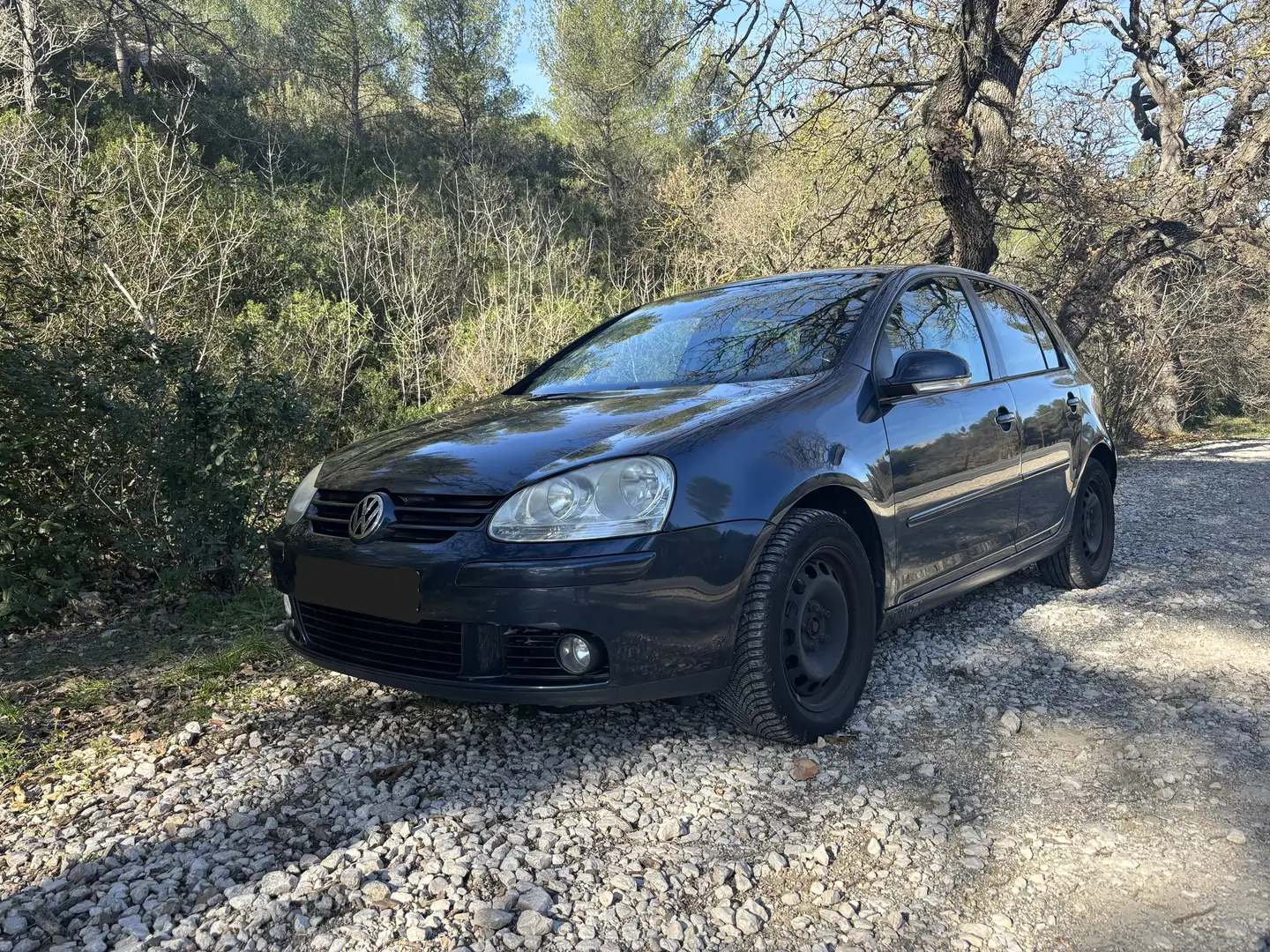 Volkswagen Golf 1.9 TDI 105 Carat Bleu - 1