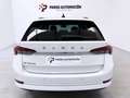Skoda Octavia Familiar Automático de 5 Puertas Blanco - thumbnail 6