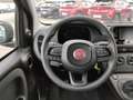 Fiat New Panda ICON Hybrid Parksensoren Klimanlage Bluetooth Nero - thumbnail 12