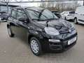 Fiat New Panda ICON Hybrid Parksensoren Klimanlage Bluetooth Nero - thumbnail 15