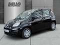 Fiat New Panda ICON Hybrid Parksensoren Klimanlage Bluetooth Nero - thumbnail 1