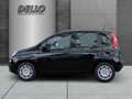Fiat New Panda ICON Hybrid Parksensoren Klimanlage Bluetooth Nero - thumbnail 2