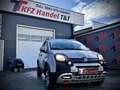 Fiat Panda 4x4 Wild Grau - thumbnail 1