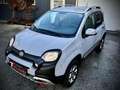 Fiat Panda 4x4 Wild Grau - thumbnail 6