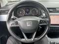 SEAT Arona CNG 1.0 TGI Euro 6d-TEMP-EV Gris - thumbnail 15