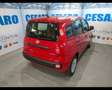 Fiat New Panda 1.0 FireFly Hybrid Rojo - thumbnail 3