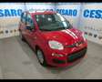 Fiat New Panda 1.0 FireFly Hybrid Rojo - thumbnail 1