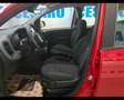 Fiat New Panda 1.0 FireFly Hybrid Rojo - thumbnail 18