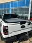 Ford Ranger Raptor 2.0 210cv auto possibilità noleggio no scoring Biały - thumbnail 5
