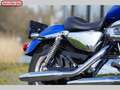 Harley-Davidson Sportster 1200 CUSTOM XL C Blue - thumbnail 5