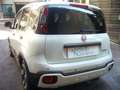 Fiat Panda Cross Pandina 1.0 FireFly Hybrid 5P Nuovo Modell Bianco - thumbnail 11