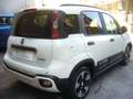 Fiat Panda Cross Pandina 1.0 FireFly Hybrid 5P Nuovo Modell Bianco - thumbnail 7