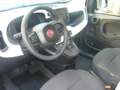 Fiat Panda Cross Pandina 1.0 FireFly Hybrid 5P Nuovo Modell Bianco - thumbnail 12