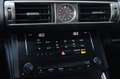 Lexus IS 300 300h Edition / CAMERA / NAP / LEDER / CRUISE / STU Grau - thumbnail 11