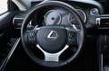 Lexus IS 300 300h Edition / CAMERA / NAP / LEDER / CRUISE / STU Grau - thumbnail 17