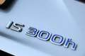 Lexus IS 300 300h Edition / CAMERA / NAP / LEDER / CRUISE / STU Grau - thumbnail 28