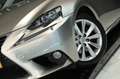 Lexus IS 300 300h Edition / CAMERA / NAP / LEDER / CRUISE / STU Grau - thumbnail 2