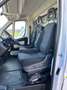 Fiat Ducato con sponda Blanco - thumbnail 9