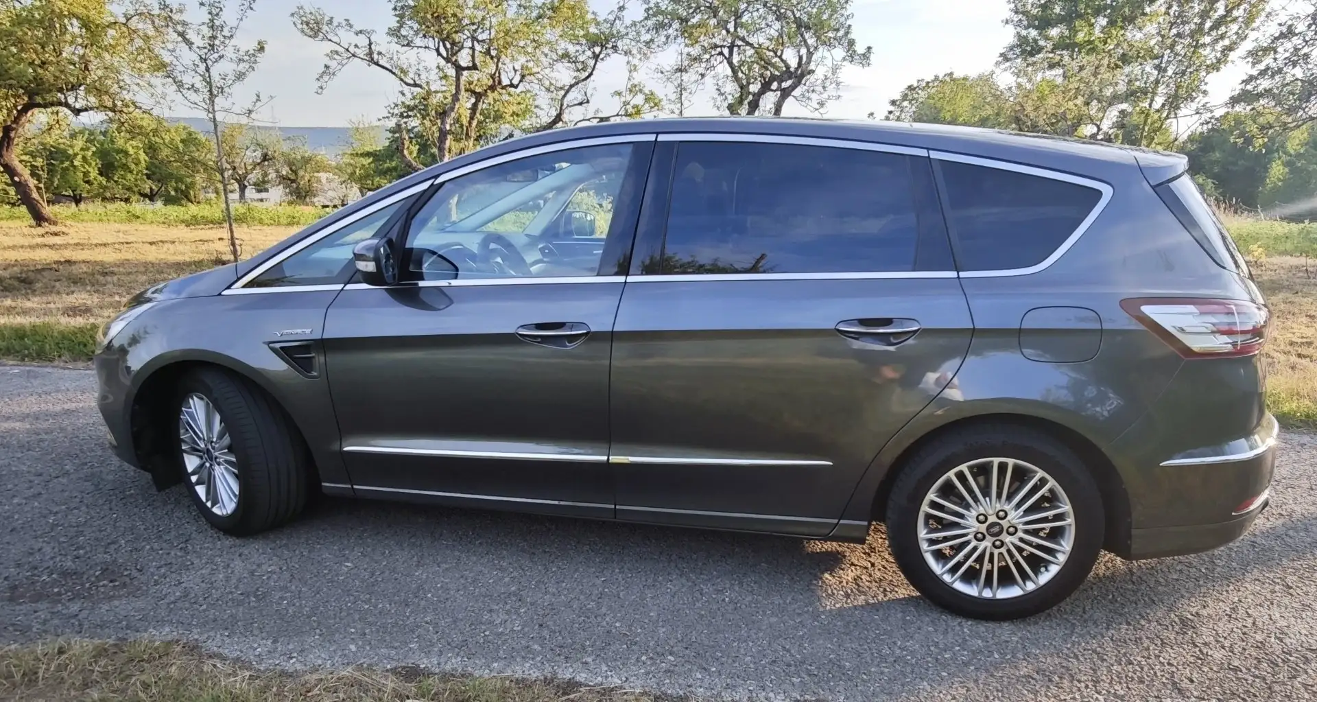 Ford S-Max 2.0 EcoBlue Bi-Turbo Aut. Vignale Gris - 2