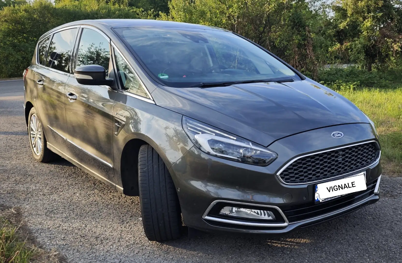 Ford S-Max 2.0 EcoBlue Bi-Turbo Aut. Vignale Gris - 1