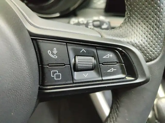 Alfa Romeo Tonale view 12