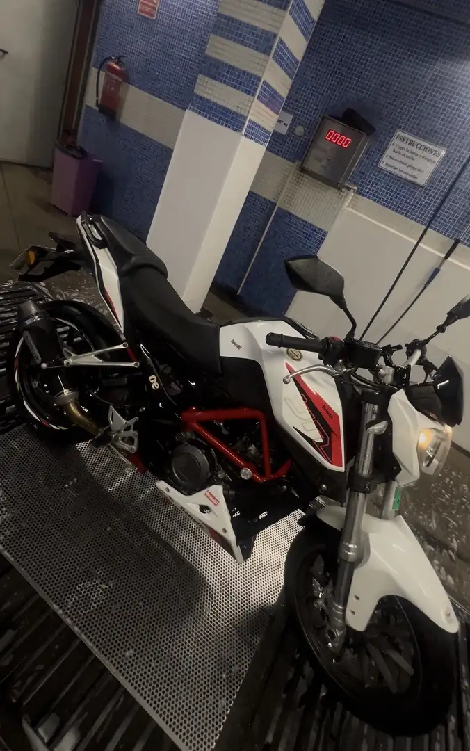 Benelli BN 251 Blanca - 2