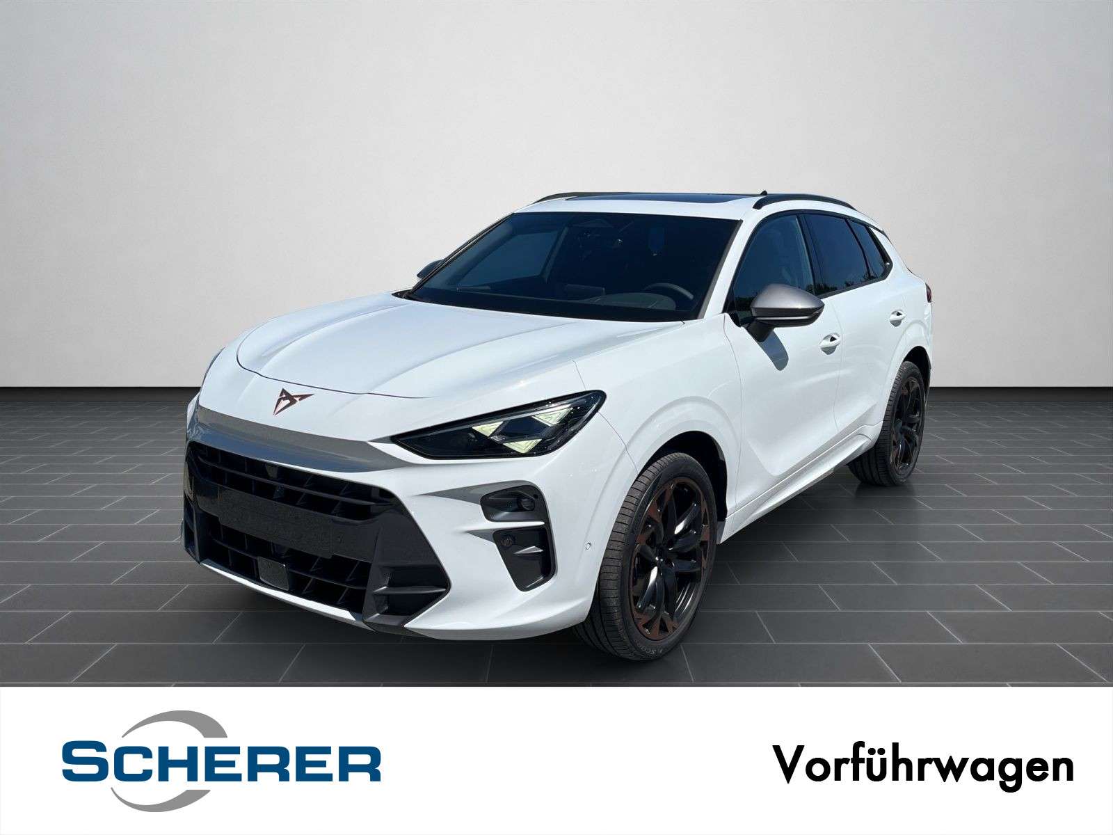 Brugt Cupra Terramar 1.5