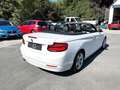 BMW 218 2 Cabrio 218 i Advantage/1.HAND/LEDER/KAMERA/LED Weiß - thumbnail 11