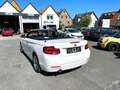 BMW 218 2 Cabrio 218 i Advantage/1.HAND/LEDER/KAMERA/LED Weiß - thumbnail 10