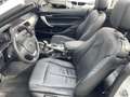 BMW 218 2 Cabrio 218 i Advantage/1.HAND/LEDER/KAMERA/LED Weiß - thumbnail 14