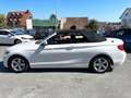 BMW 218 2 Cabrio 218 i Advantage/1.HAND/LEDER/KAMERA/LED Weiß - thumbnail 8