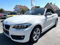 BMW 218 2 Cabrio 218 i Advantage/1.HAND/LEDER/KAMERA/LED Weiß - thumbnail 13