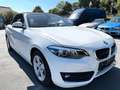 BMW 218 2 Cabrio 218 i Advantage/1.HAND/LEDER/KAMERA/LED Weiß - thumbnail 12