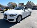 BMW 218 2 Cabrio 218 i Advantage/1.HAND/LEDER/KAMERA/LED Weiß - thumbnail 4
