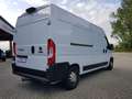 Fiat Ducato Kastenwagen 35 Maxi 180 L4H2+AHK+NAVI+LUFTF Blanc - thumbnail 5