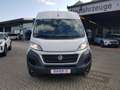 Fiat Ducato Kastenwagen 35 Maxi 180 L4H2+AHK+NAVI+LUFTF Blanc - thumbnail 8