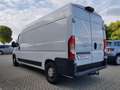 Fiat Ducato Kastenwagen 35 Maxi 180 L4H2+AHK+NAVI+LUFTF Weiß - thumbnail 23