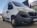 Fiat Ducato Kastenwagen 35 Maxi 180 L4H2+AHK+NAVI+LUFTF Weiß - thumbnail 26