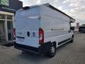 Fiat Ducato Kastenwagen 35 Maxi 180 L4H2+AHK+NAVI+LUFTF Weiß - thumbnail 22