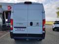 Fiat Ducato Kastenwagen 35 Maxi 180 L4H2+AHK+NAVI+LUFTF Weiß - thumbnail 21