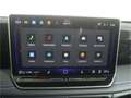 Volkswagen Tiguan 2.0 TDI R-Line Black Style DSG AHK/P-Dach Grau - thumbnail 24