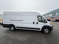 Fiat Ducato 35H 2.3 MultiJet L4H2 Blanc - thumbnail 3