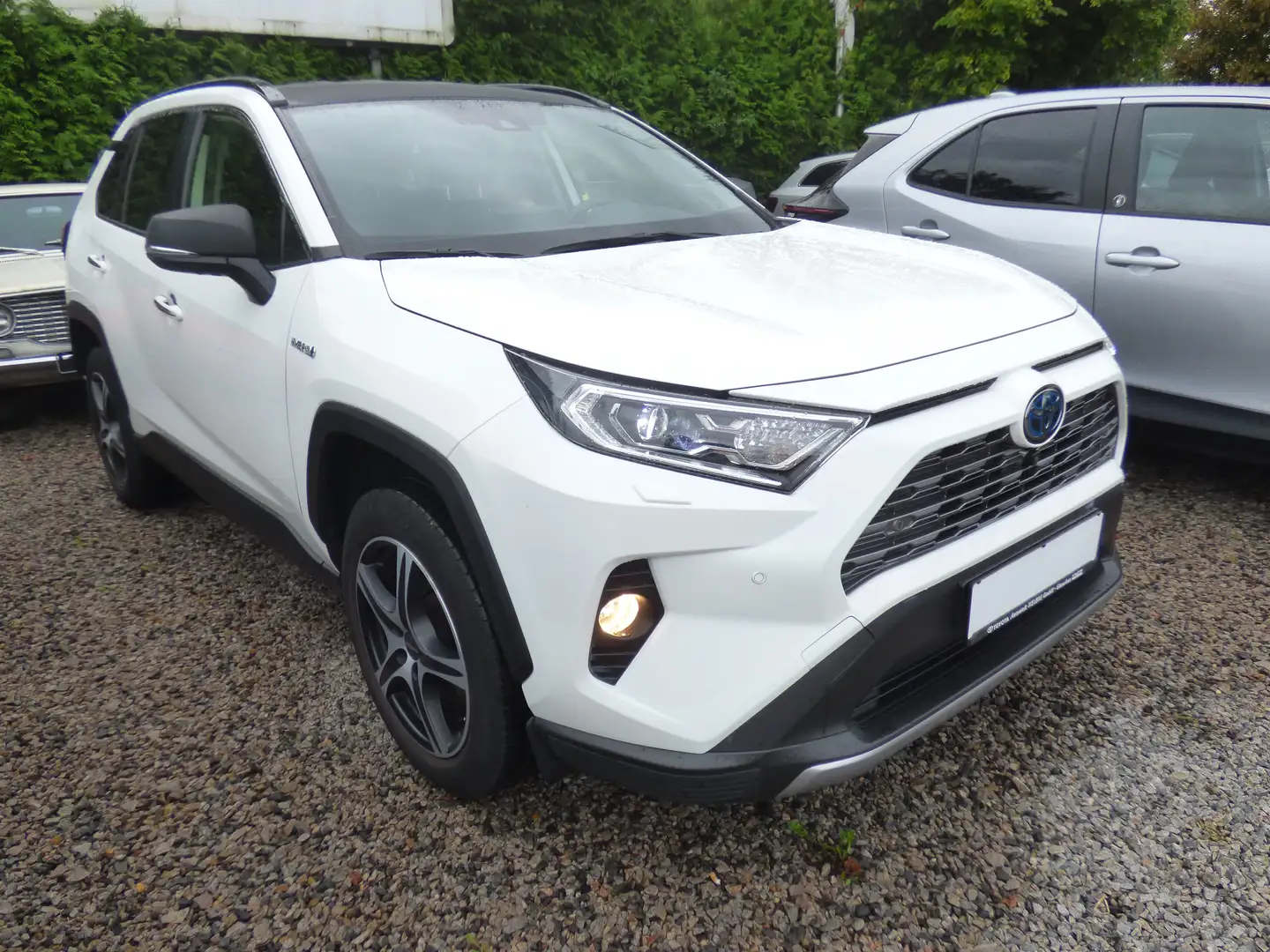 Toyota RAV 4 RAV4 Hybrid 2.5 4x2 Hybrid Lounge Weiß - 2