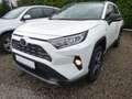 Toyota RAV 4 RAV4 Hybrid 2.5 4x2 Hybrid Lounge Weiß - thumbnail 1