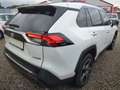 Toyota RAV 4 RAV4 Hybrid 2.5 4x2 Hybrid Lounge Weiß - thumbnail 3