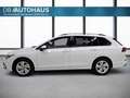 Volkswagen Golf Life 1.5 TSI Weiß - thumbnail 7