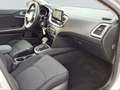 Kia Ceed SW / cee'd SW Ceed Kombi 1.5 T-GDI AUTOMATIK / -27% günstiger Silber - thumbnail 12