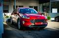 Ford Kuga 2,0 EcoBlue AWD Titanium Aut. *NAVI*WINTER-PAKET* Rot - thumbnail 9