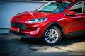 Ford Kuga 2,0 EcoBlue AWD Titanium Aut. *NAVI*WINTER-PAKET* Rouge - thumbnail 6