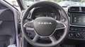 Dacia Spring BEV 27KWH 33KW BUSINESS AUTO 45 5P Gris - thumbnail 9